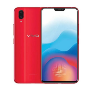 Vivo X21