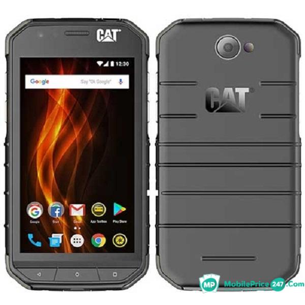 Cat S31